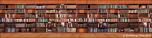 Bookshelves 4