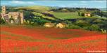 Tuscany 1A