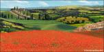 Tuscany 1B