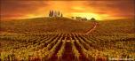 Tuscany 3
