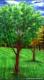 Tree Leg 12A