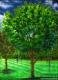Tree Leg 16A