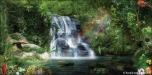 Forest Waterfall 4