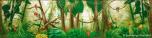 Forest 2A Birds