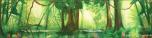 Forest 2C Lake