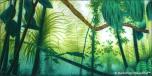 Forest 1C Branch 1