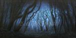 Dark Forest 6B Twilight