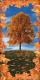 Tree 2C Autumn