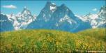 Aspen Mountains 7