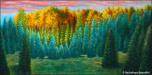 Pine Trees 1