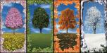 Tree 2 Seasons (Alt View)