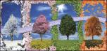 Trees Seasons Calendar 2
