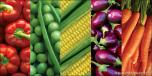 Produce 2 Vegetables