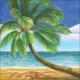 Tropical Beach 10