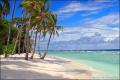 Tropical Beach 6