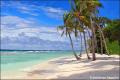 Tropical Beach 7