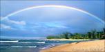 Tropical Beach 15