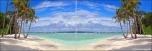 Tropical Beach Panel 3