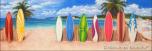 Beach Boards 5