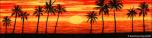 Sunset Beach 9