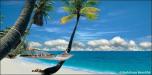 Beach Hammock