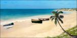 Tropical Beach 5