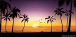 Sunset Beach 1