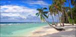 Tropical Beach 13B