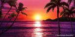 Sunset Beach 10