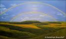 Rainbow 2