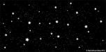 Starry Sky 2 Black