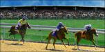 Horse Racing 2