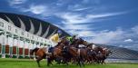 Horse Racing 3