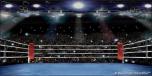Boxing 2
