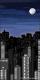 NY Skyline 9