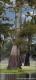 Swampland Leg 2A