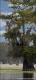 Swampland Leg 2B