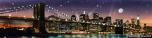 NY Skyline 10