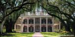 Homestead Manor 1