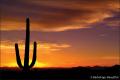 Desert Sunset 2