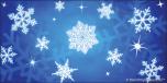 Snowflakes 6