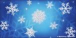 Snowflakes 6B