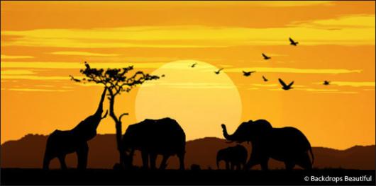 Backdrops: African Elephant Sunset 2