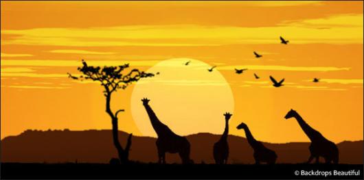 Backdrops: African Giraffe Sunset