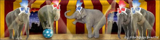 Backdrops: Circus  9 Elephant