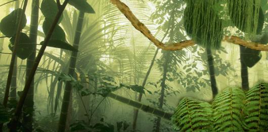 Backdrops: Forest 3