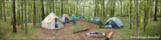 Backdrops: Campsite 3