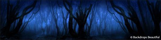 Backdrops: Dark Forest  8 Twilight