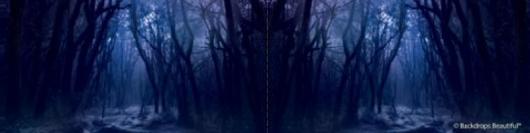 Backdrops: Dark Forest  9 Twilight Panel