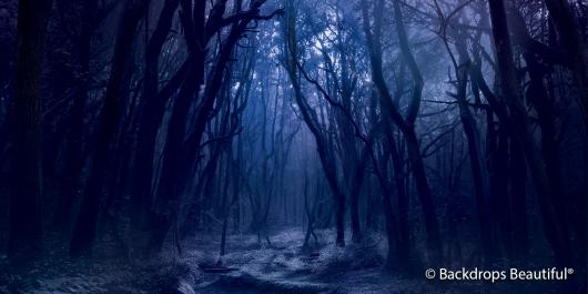 Backdrops: Dark Forest 12 Twilight Digital